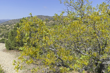 Similar image 22128508