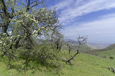 Similar image 22128512