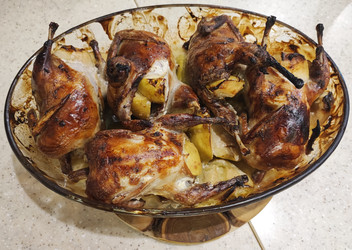 Similar image 22128637