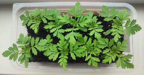 Similar image 22128644