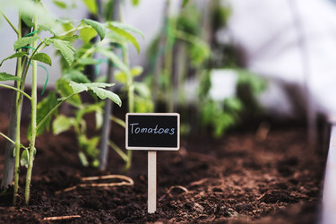 Similar image 22128646