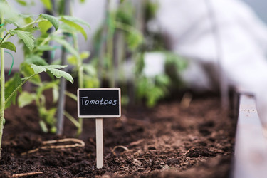 Similar image 22128647