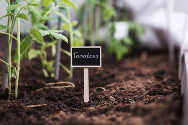 Similar image 22128648