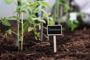 Similar image 22128649