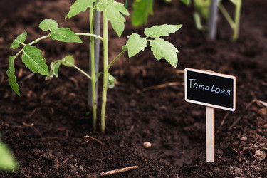 Similar image 22128650