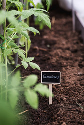 Similar image 22128652