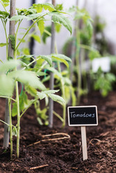 Similar image 22128653