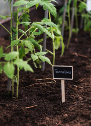 Similar image 22128654