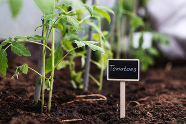 Similar image 22128655