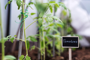 Similar image 22128656