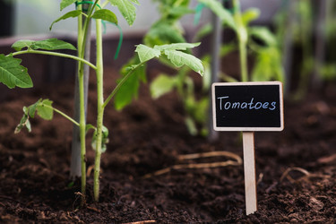 Similar image 22128657