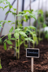 Similar image 22128659