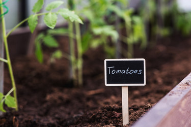 Similar image 22128661