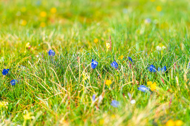 Similar image 22129659