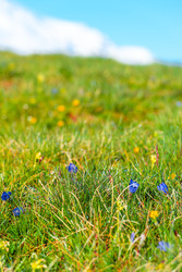 Similar image 22129660