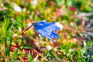 Similar image 22129661