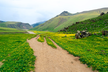 Similar image 22129662