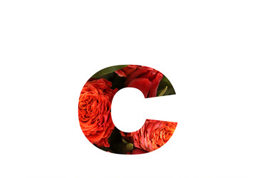 Similar image 22131857