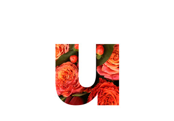 Similar image 22131895