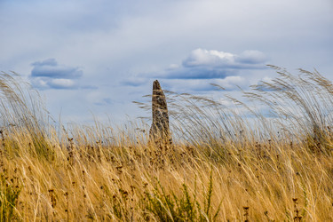 Similar image 22129318