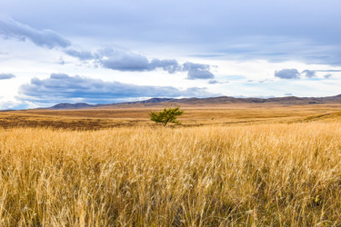 Similar image 22129321