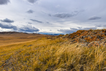 Similar image 22129324