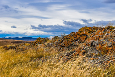 Similar image 22129325