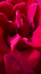 Similar image 22129326