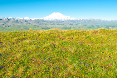 Similar image 22129672