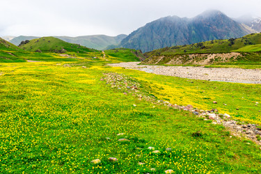 Similar image 22129681