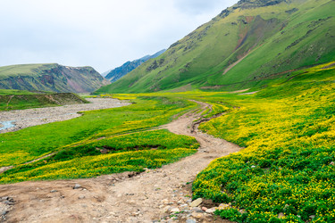 Similar image 22129711