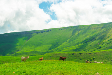 Similar image 22129714