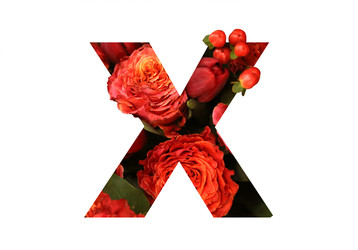 Similar image 22131928