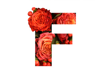 Similar image 22131939