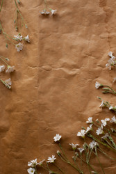 Similar image 22130090