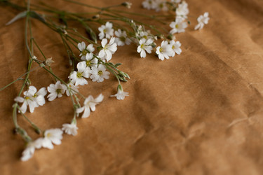 Similar image 22130092