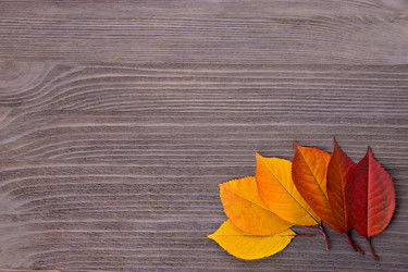 Similar image 22130099