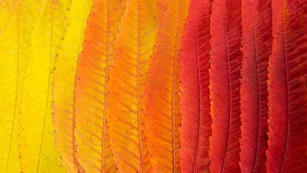 Similar image 22130104