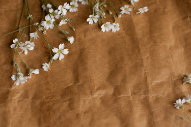 Similar image 22130425