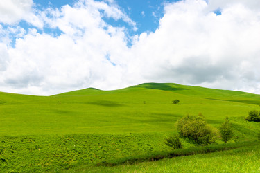 Similar image 22129245