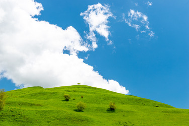 Similar image 22129251