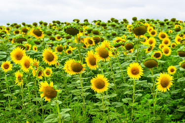 Similar image 22129252