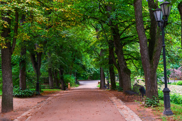 Similar image 22129259