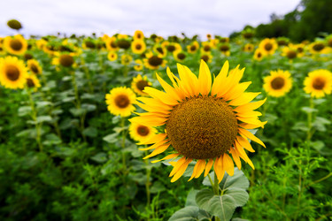 Similar image 22129260