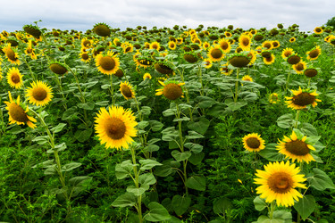 Similar image 22129262