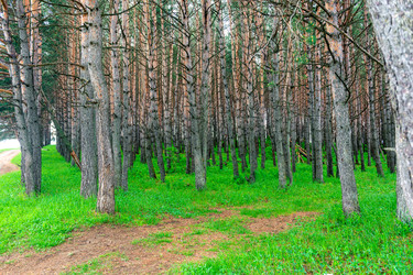 Similar image 22129263