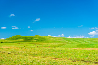 Similar image 22129281