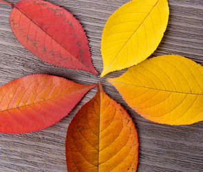 Similar image 22131661