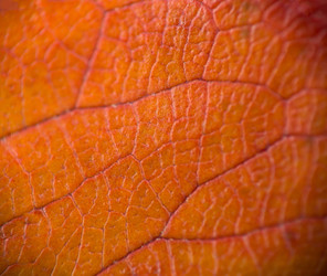 Similar image 22131662