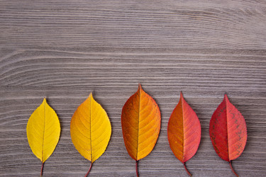 Similar image 22131664